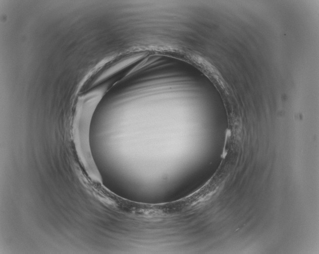 X0000081560395200701291155