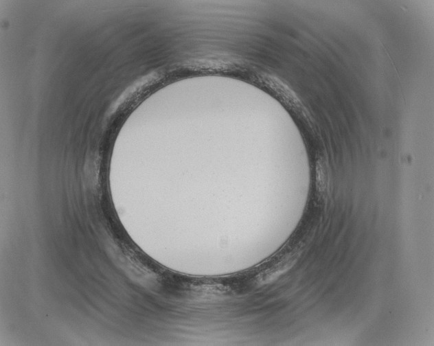 X0000081560396200701291155