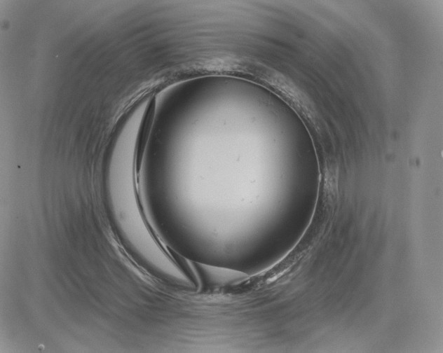 X0000081560397200701291155