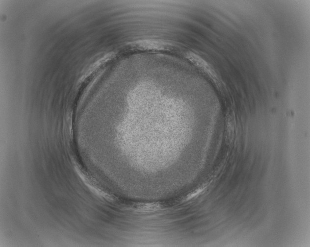 X0000081560398200701291155