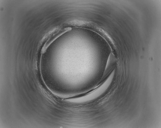 X0000081560399200701291155