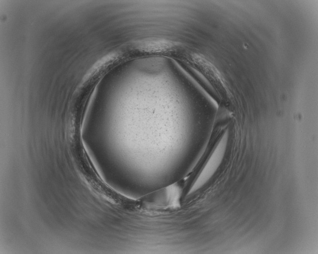 X0000081560400200701291155