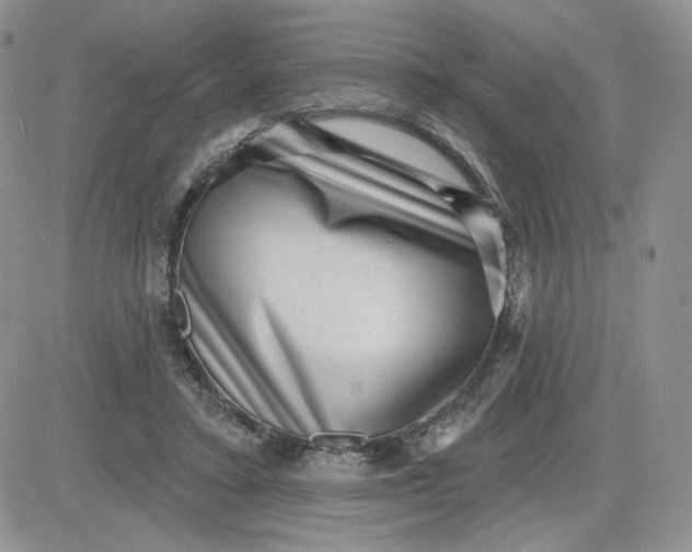 X0000081560403200701291155