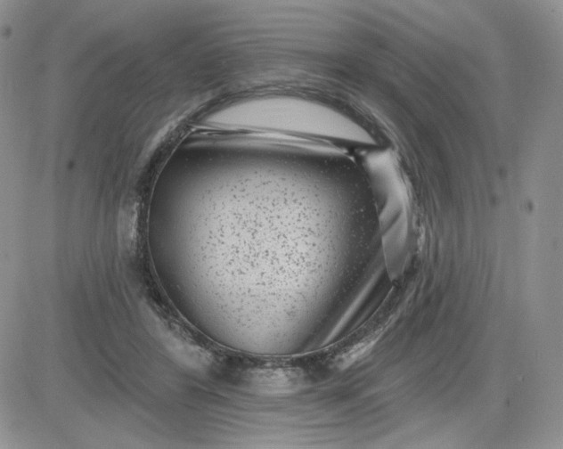 X0000081560404200701291155