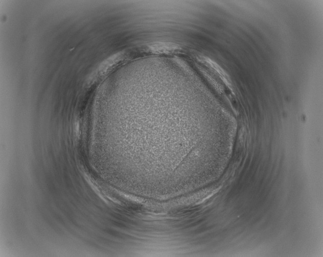 X0000081560405200701291155