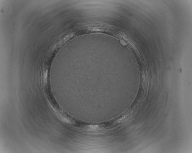 X0000081560406200701291155