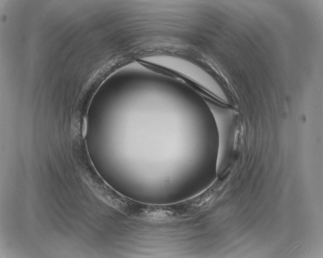 X0000081560407200701291155