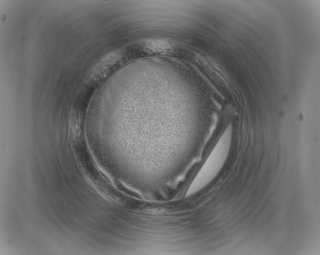 X0000081560408200701291155