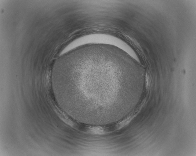 X0000081560409200701291155