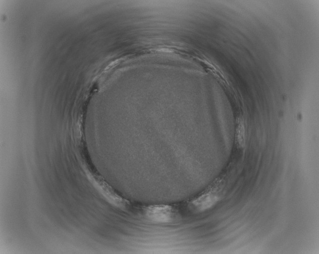 X0000081560410200701291155