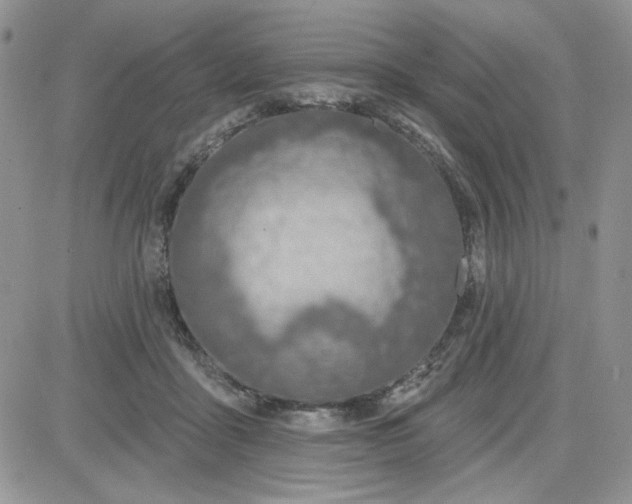 X0000081560411200701291155