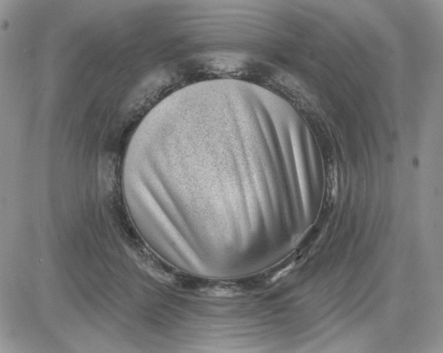 X0000081560412200701291155