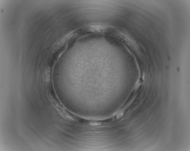 X0000081560413200701291155