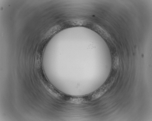 X0000081560414200701291154