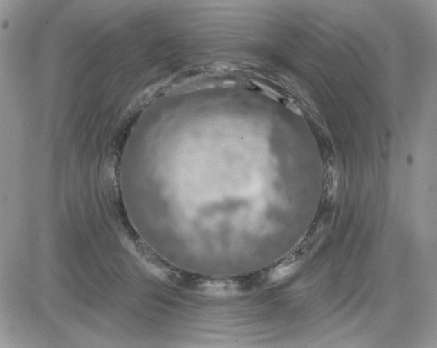 X0000081560415200701291154