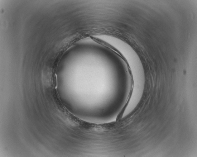 X0000081560416200701291154