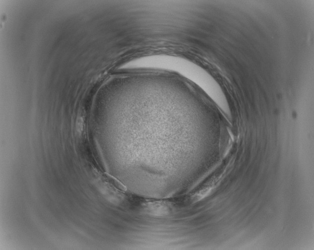 X0000081560417200701291154