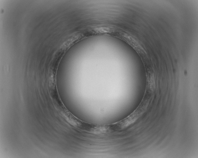 X0000081560418200701291154