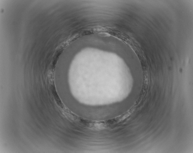 X0000081560419200701291154