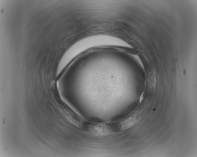 X0000081560420200701291154