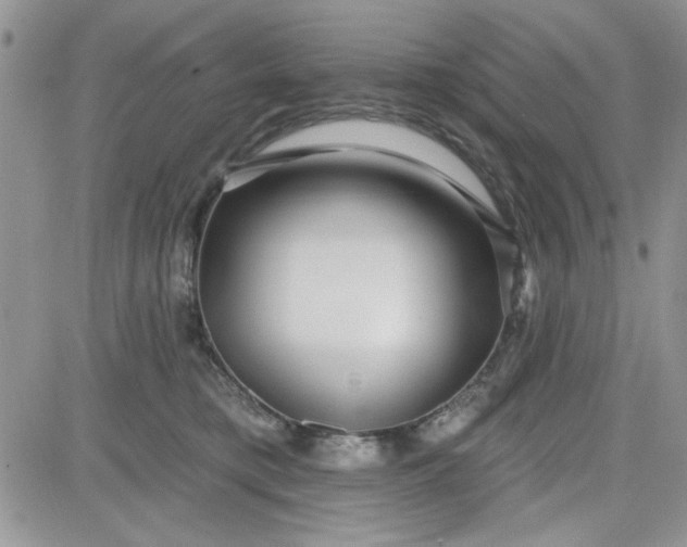 X0000081560421200701291154