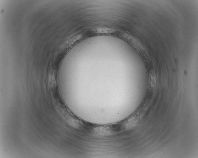 X0000081560422200701291154