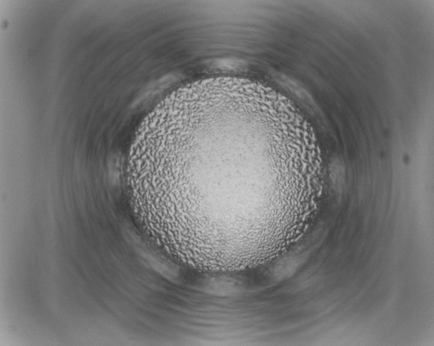 X0000081560423200701291154