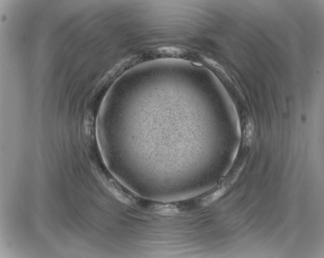 X0000081560424200701291154