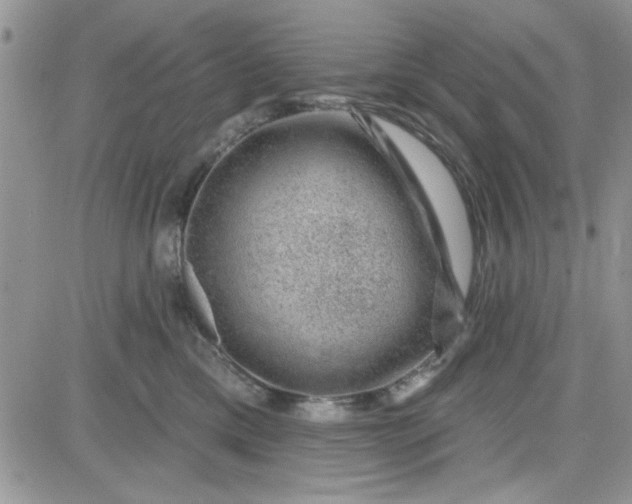 X0000081560425200701291154