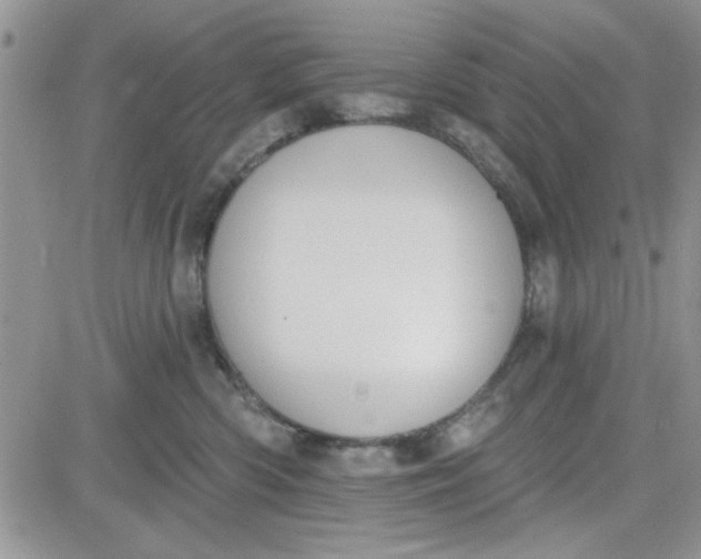 X0000081560426200701291154