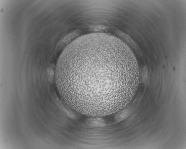 X0000081560427200701291154