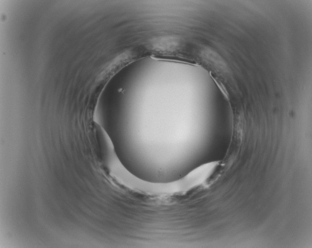 X0000081560428200701291154