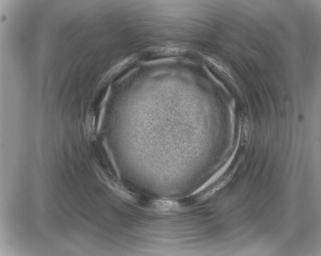 X0000081560429200701291154