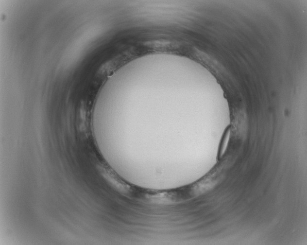 X0000081560430200701291154