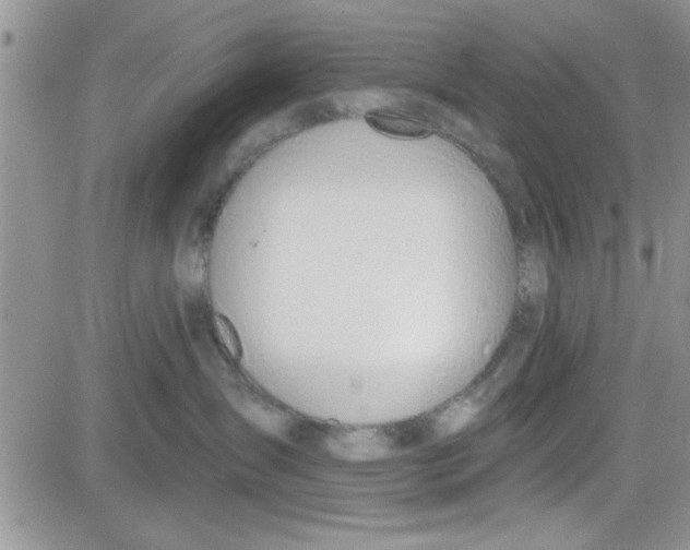 X0000081560431200701291154