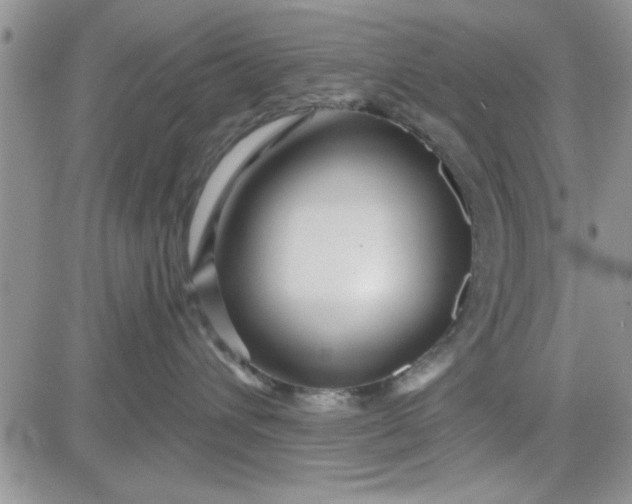 X0000081560432200701291154