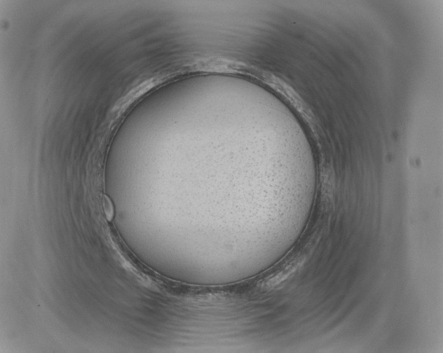 X0000081560433200701291153