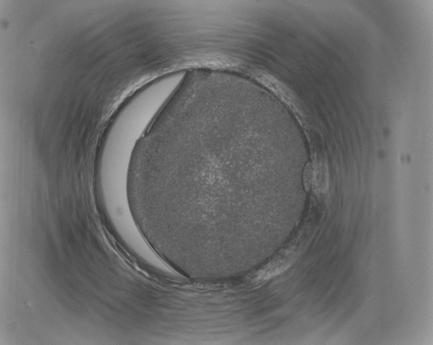 X0000081560434200701291153