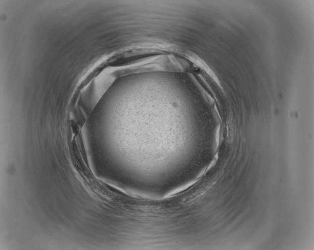 X0000081560436200701291153