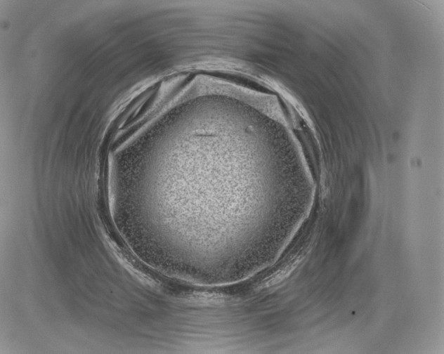 X0000081560437200701291153