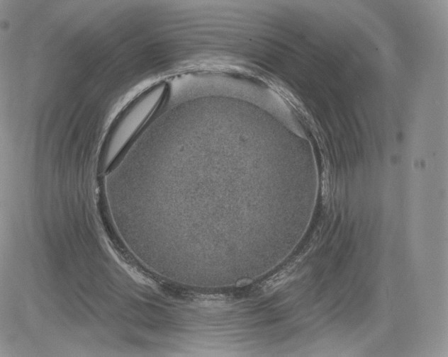 X0000081560438200701291153