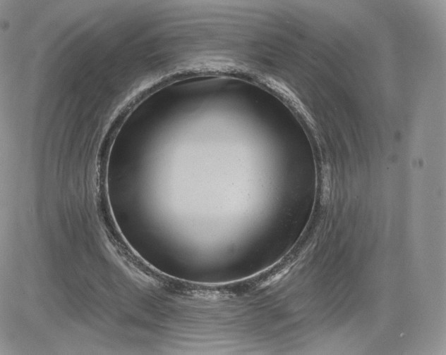 X0000081560439200701291154