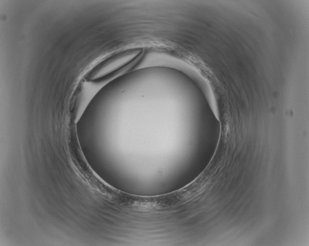 X0000081560440200701291154