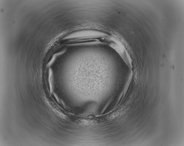 X0000081560442200701291154