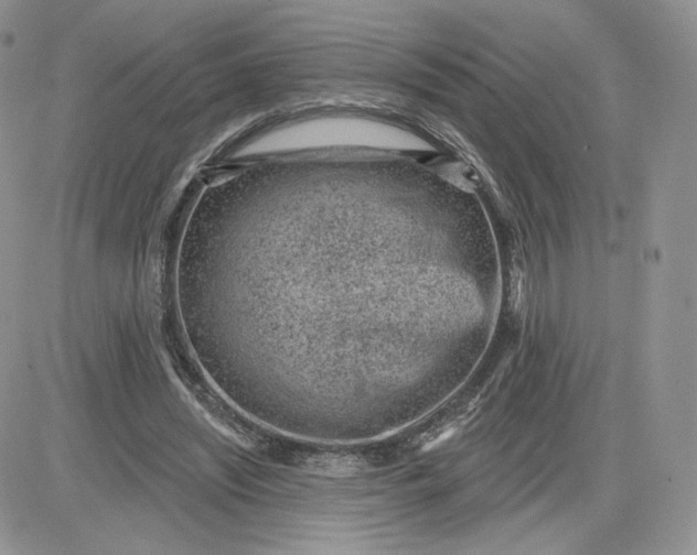 X0000081560444200701291154