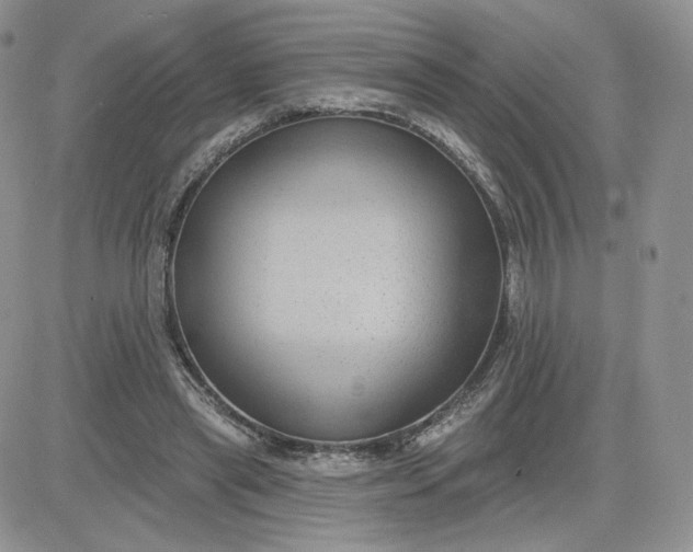 X0000081560445200701291154