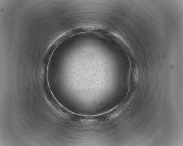 X0000081560448200701291154