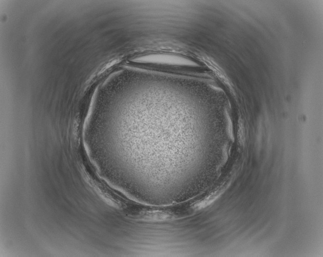 X0000081560449200701291154