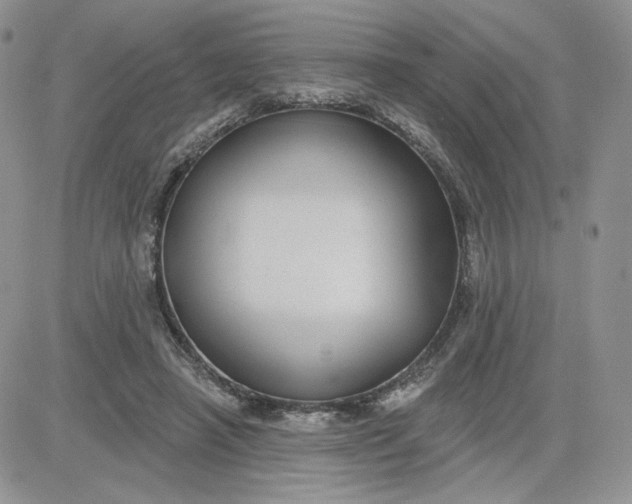 X0000081560450200701291154