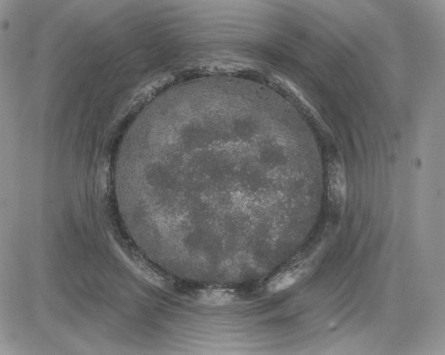 X0000081560451200701291154